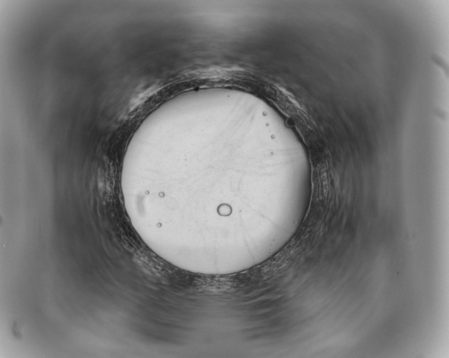 X0000096161158200802081428