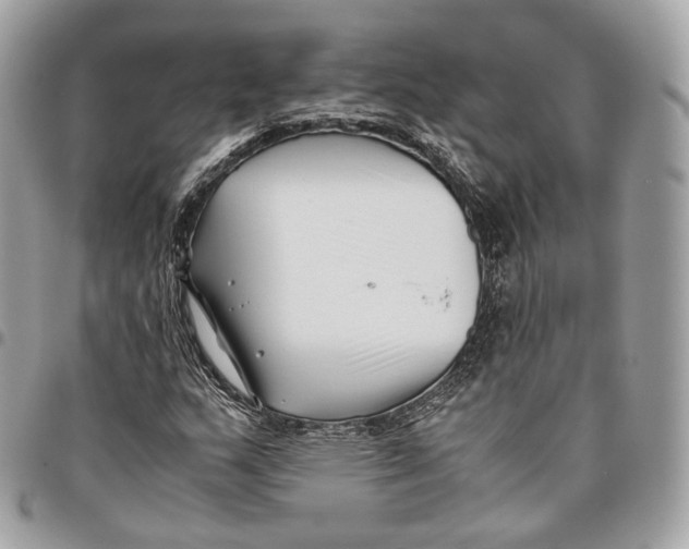 X0000096161159200802081428