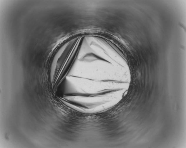 X0000096161160200802081428