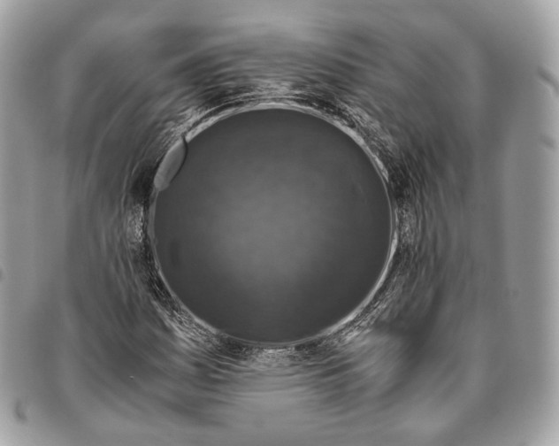 X0000096161161200802081428