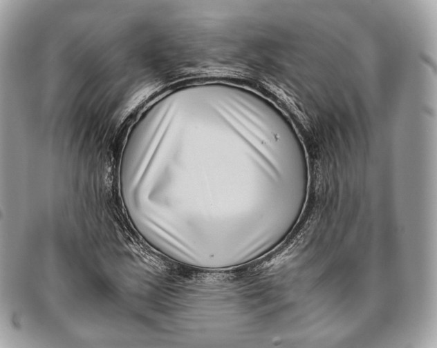 X0000096161163200802081428