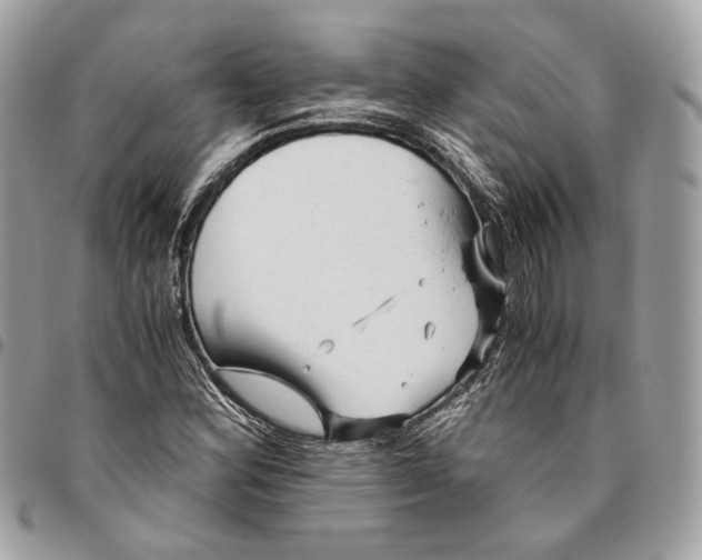 X0000096161164200802081428