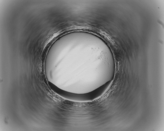 X0000096161165200802081428