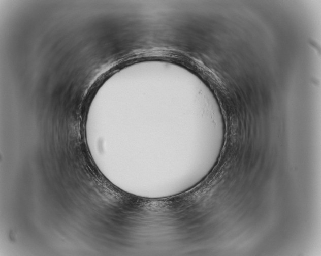 X0000096161166200802081428