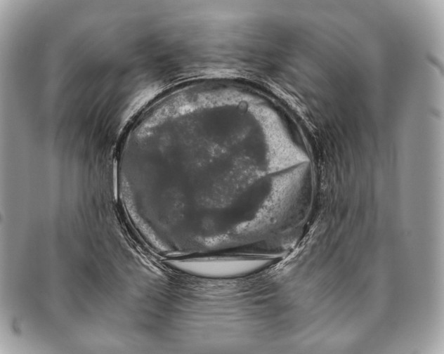 X0000096161171200802081427