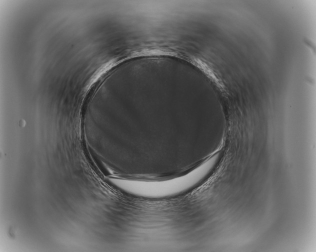 X0000096161173200802081427