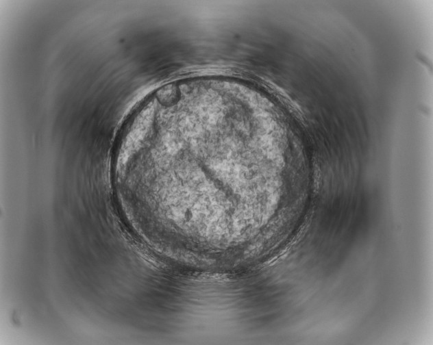 X0000096161174200802081427