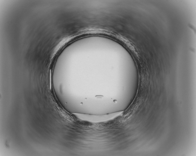 X0000096161175200802081427