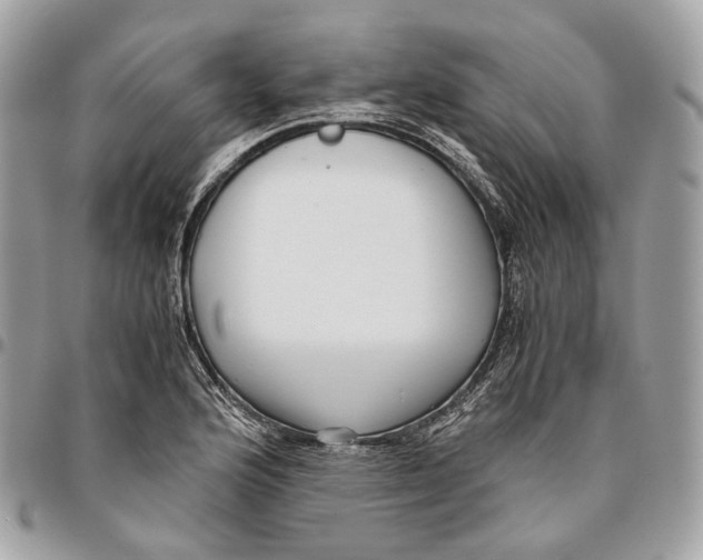 X0000096161176200802081427