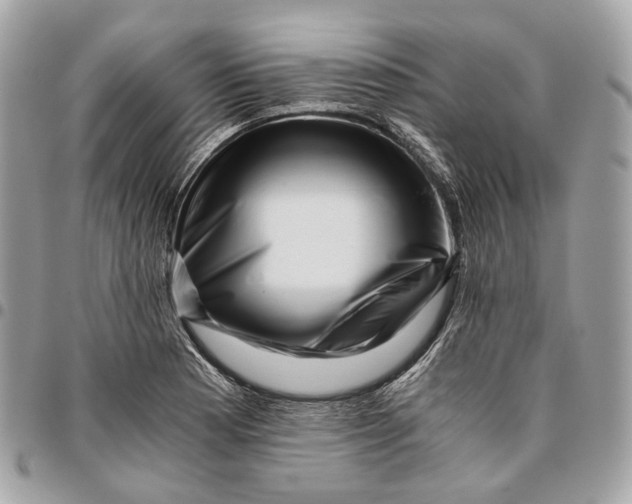 X0000096161177200802081427