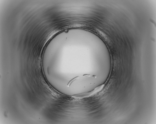 X0000096161178200802081427