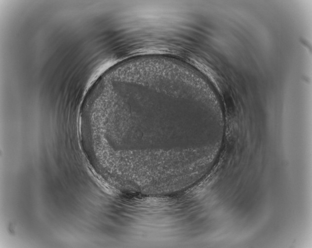 X0000096161179200802081427