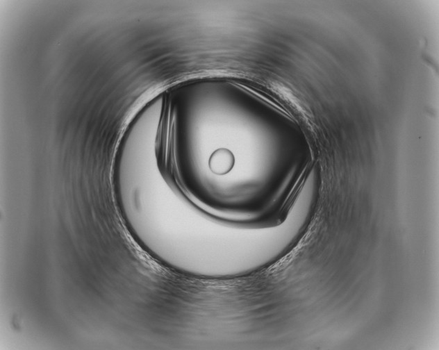 X0000096161181200802081427