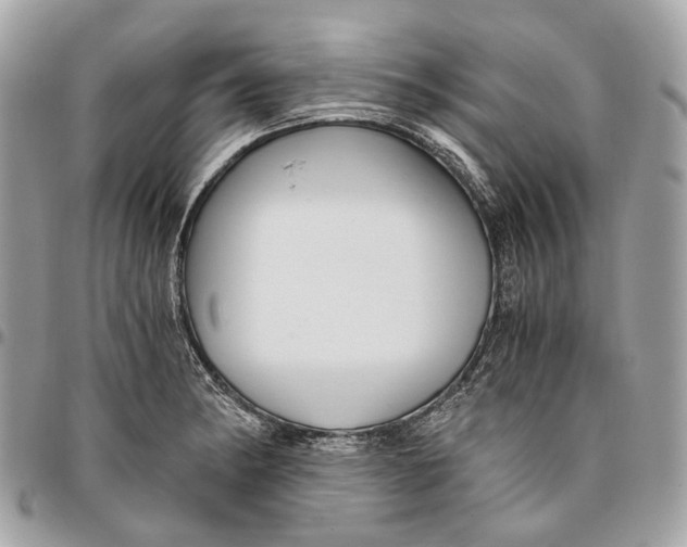 X0000096161182200802081427