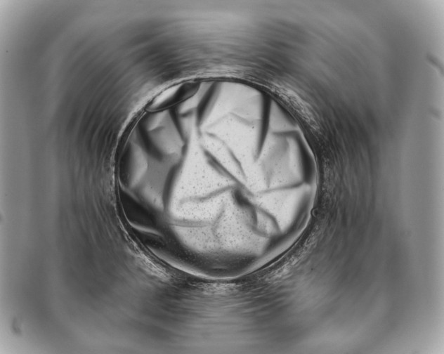 X0000096161184200802081427