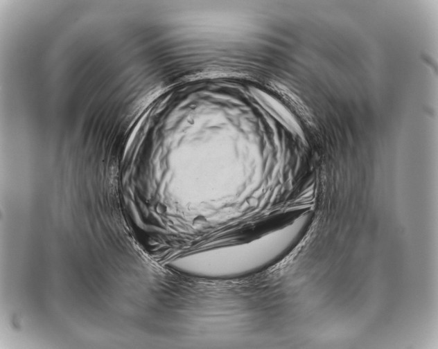 X0000096161185200802081427