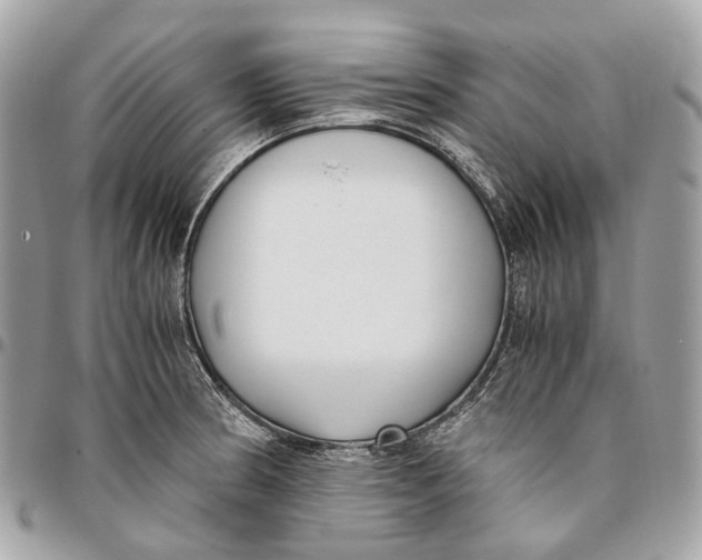 X0000096161186200802081427