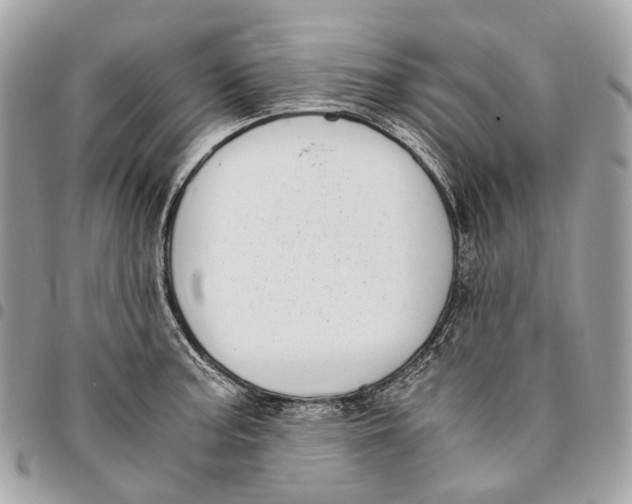 X0000096161187200802081427