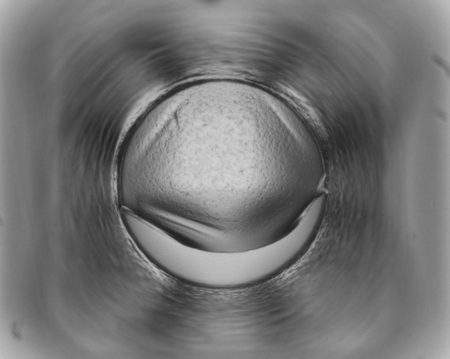 X0000096161188200802081427