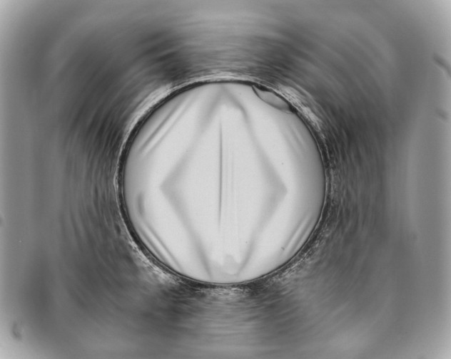 X0000096161189200802081427