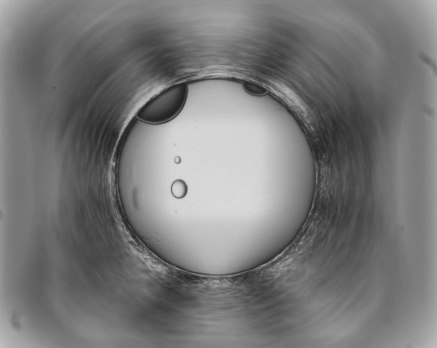 X0000096161190200802081427