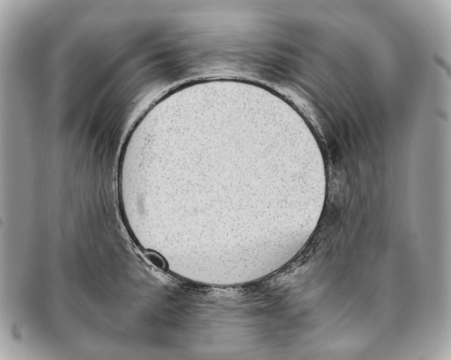 X0000096161191200802081427