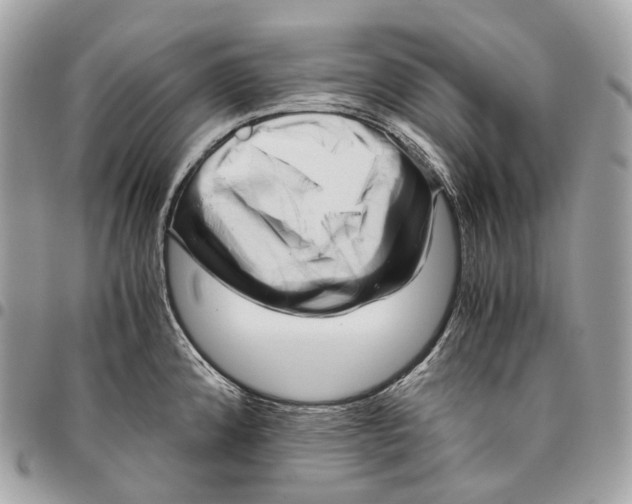 X0000096161192200802081427