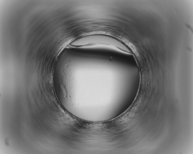 X0000096161193200802081427