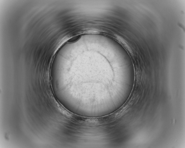 X0000096161194200802081427