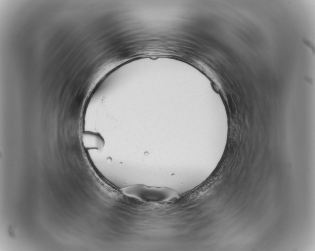 X0000096161195200802081427