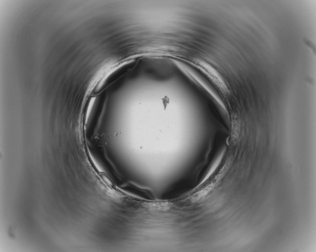 X0000096161196200802081427