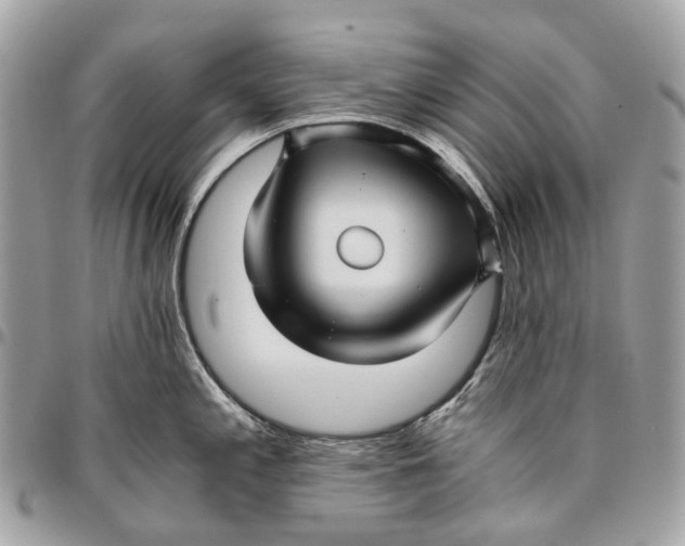 X0000096161197200802081427