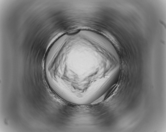 X0000096161198200802081427