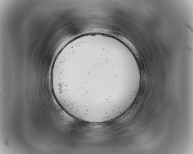 X0000096161199200802081427