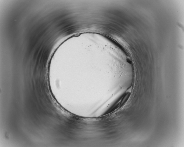 X0000096161200200802081427