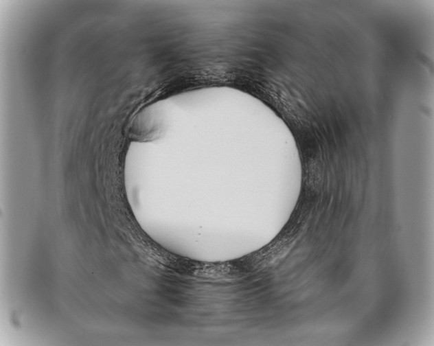 X0000096161201200802081426