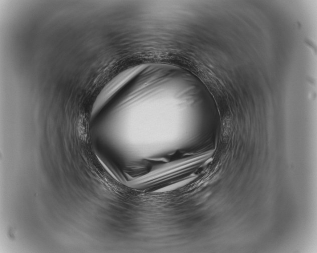 X0000096161202200802081426