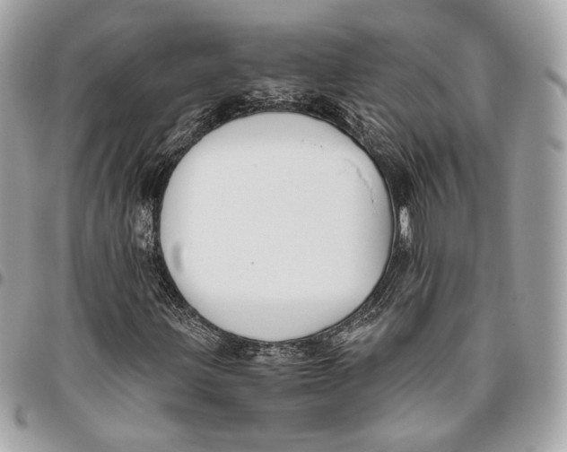 X0000096161203200802081426