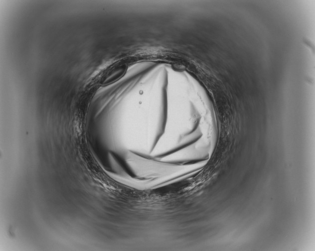 X0000096161206200802081426