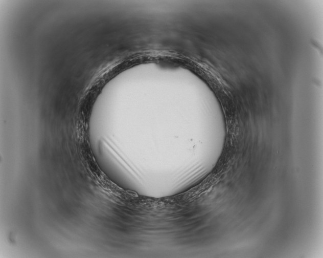 X0000096161207200802081426