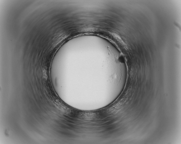 X0000096161209200802081426