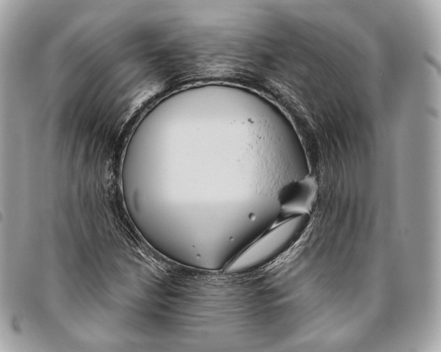 X0000096161210200802081426