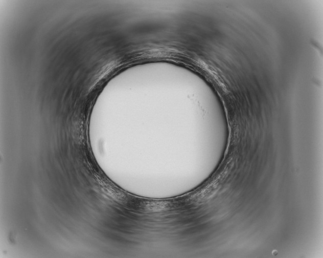 X0000096161211200802081426