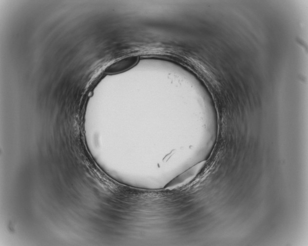 X0000096161212200802081426