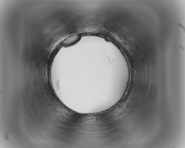 X0000096161214200802081426