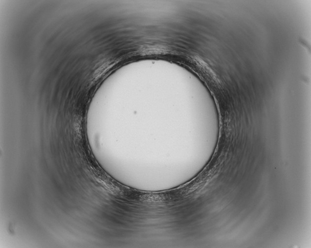 X0000096161217200802081426