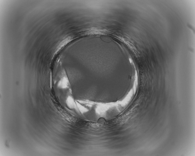 X0000096161219200802081426