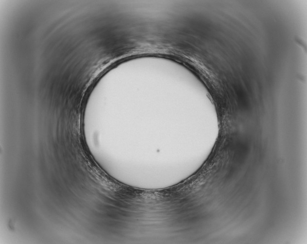 X0000096161220200802081426