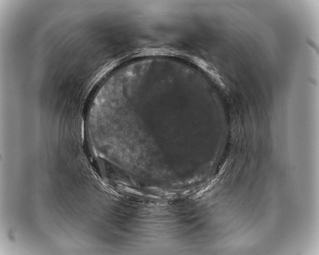 X0000096161221200802081427