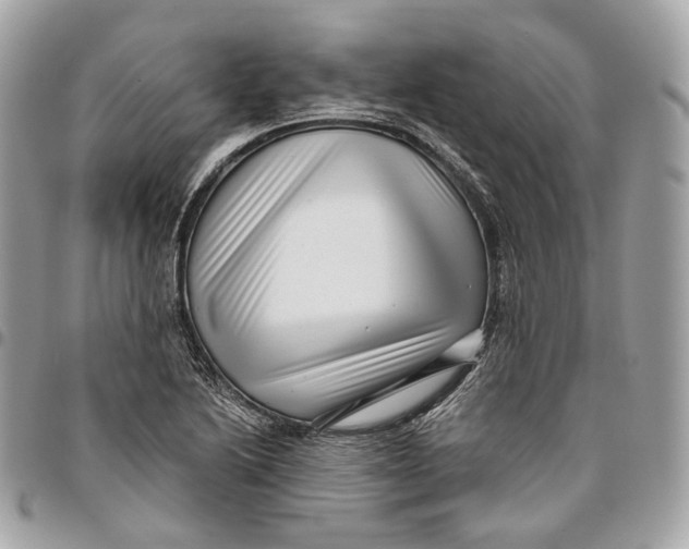 X0000096161222200802081427